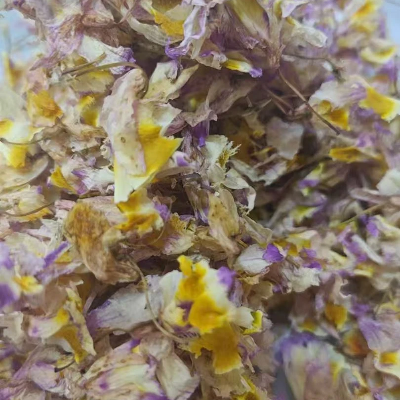 金钗紫石斛花--郑董源头收好茶