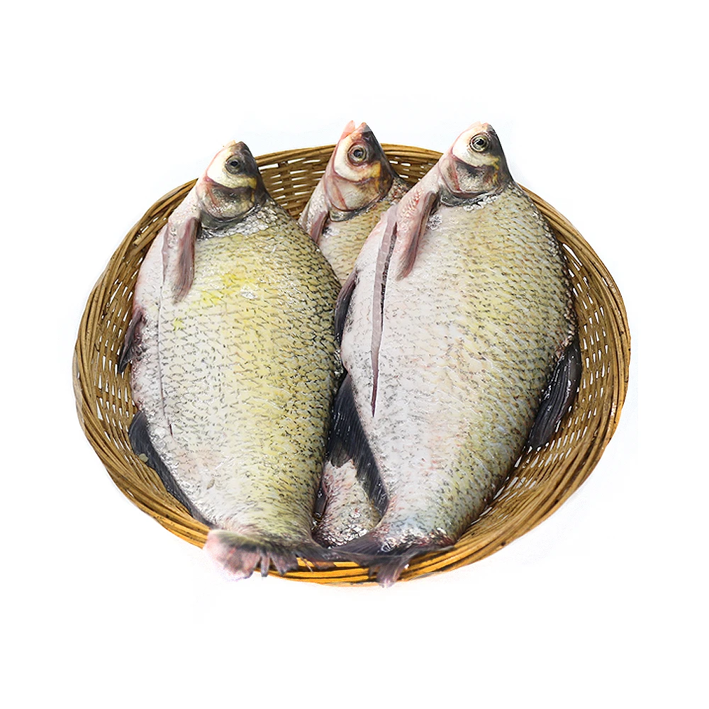 微山湖野生鳊鱼武昌鱼