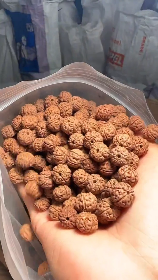 手串金刚菩提非全品老树王散籽11-12mm一份一百颗