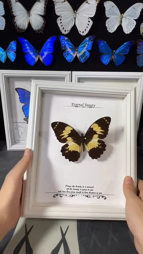 美嘉凤蝶欧版相框