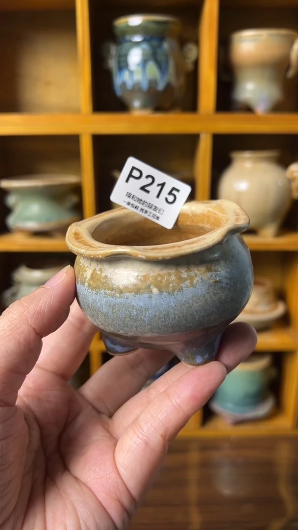 215 内口5【多肉花盆多肉盆】