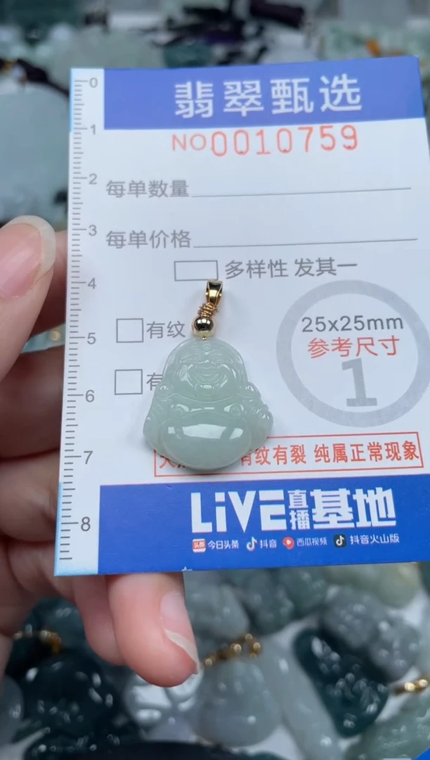 颈饰未镶嵌翡翠10759