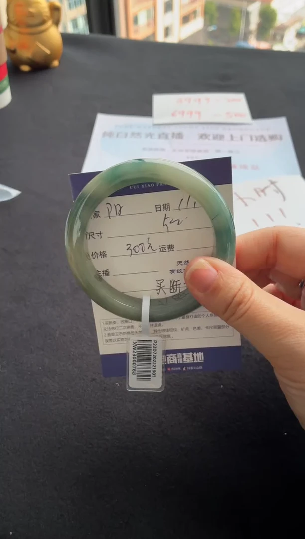 未镶嵌手镯翡翠阳****孩买断价XW23000768