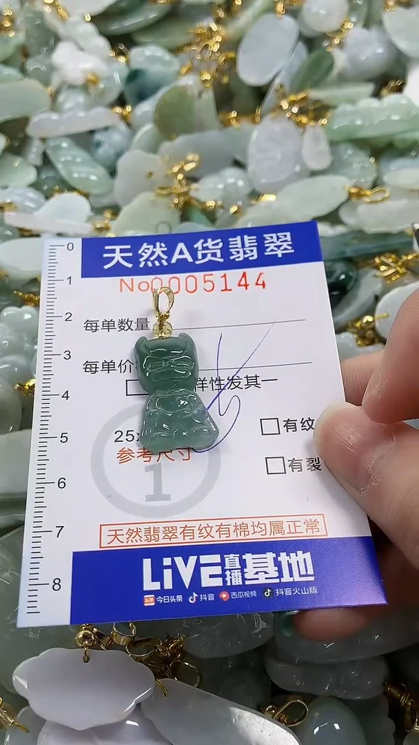 颈饰未镶嵌翡翠纯天然货翡翠