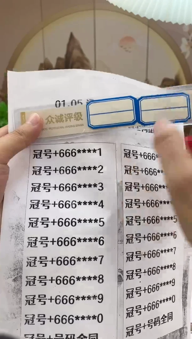 【六六大顺】通天豹冠+号十同龙凤胎标十对