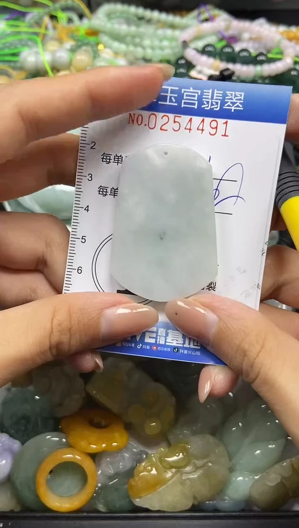 颈饰未镶嵌翡翠闪购C0254491