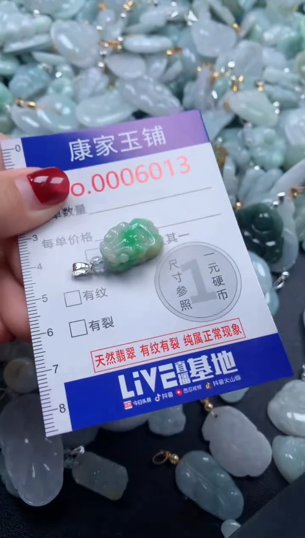 颈饰未镶嵌翡翠6013