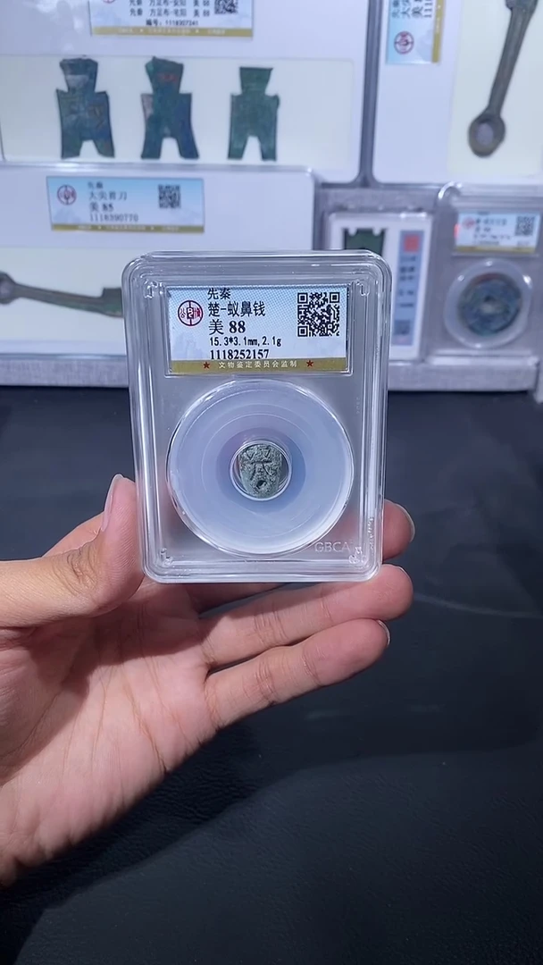 【闪购商品】金琪珍蚁鼻钱一枚