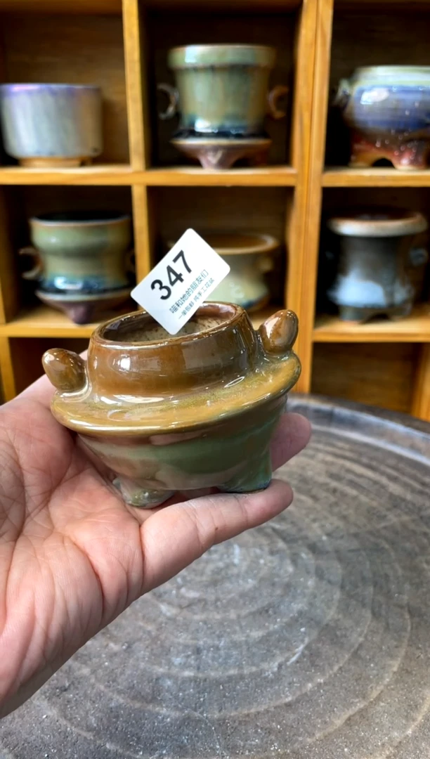 347【多肉花盆多肉盆】