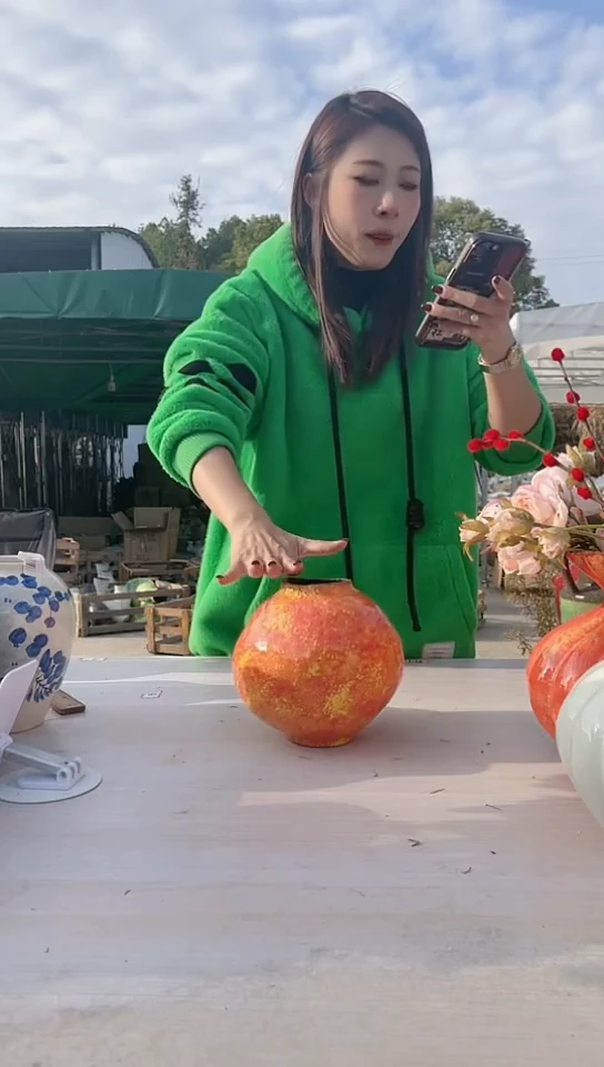 【闪购商品】陶瓷景德镇手工推