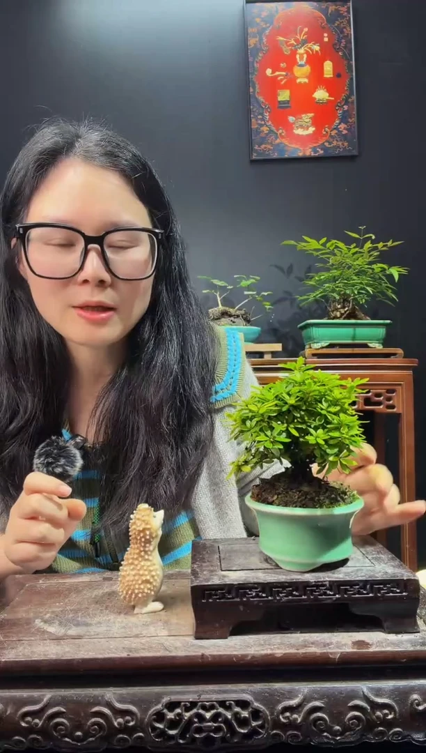 完全开放早乙女000