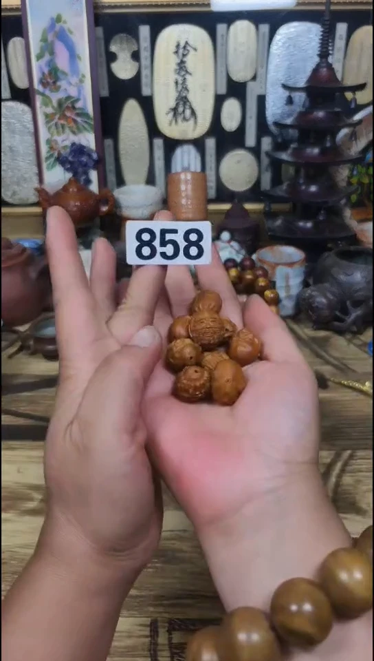 瓷片洒****8858啊啊啊啊啊啊啊
