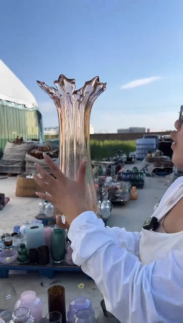 玻璃花瓶用于客厅桌面插花装饰