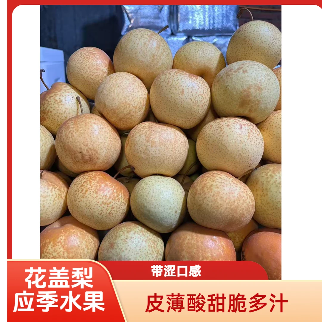 东北特产花盖梨 酸甜略带涩  皮薄多汁  （冻了无售后） 介意勿拍