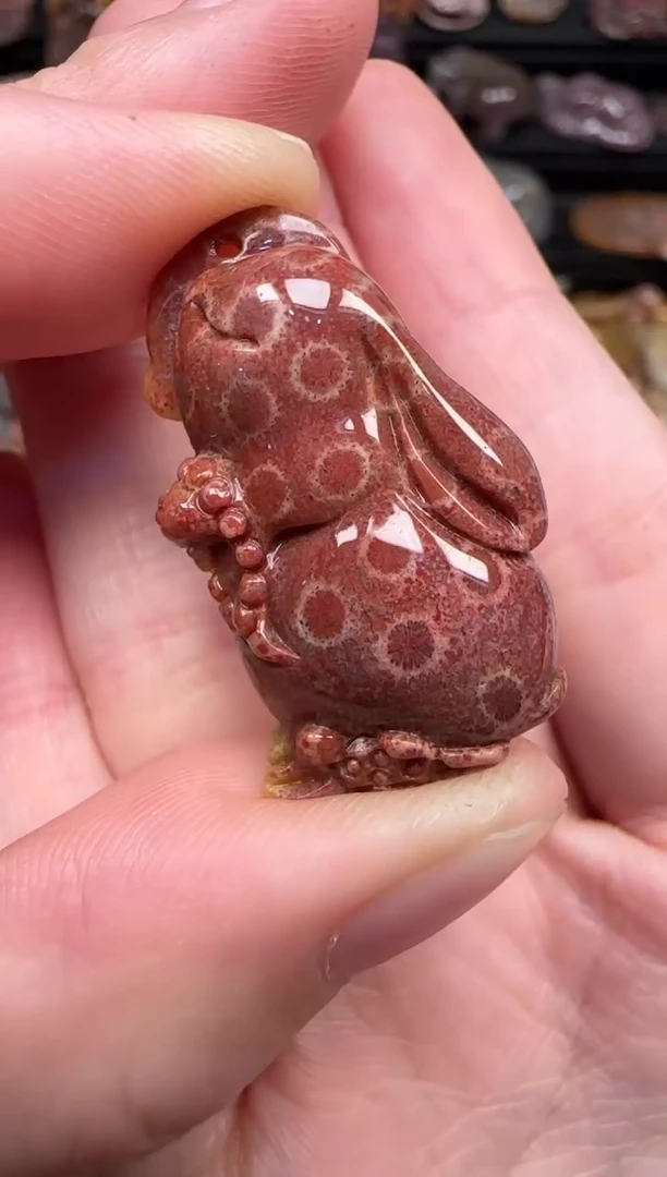 颈饰未镶嵌硅化珊瑚（珊瑚玉）814