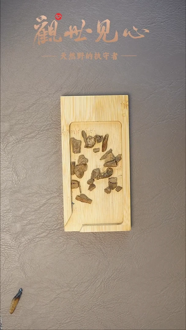 沉香沉香碎屑斯里兰卡红土碎料    1g