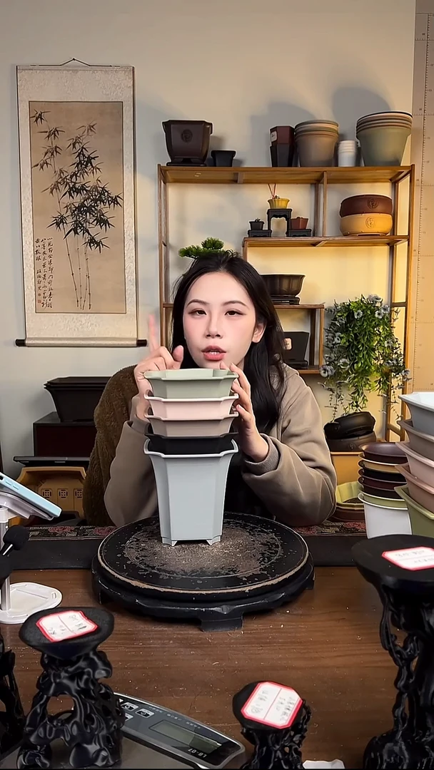 14.5四方尊 6只装颜色随机