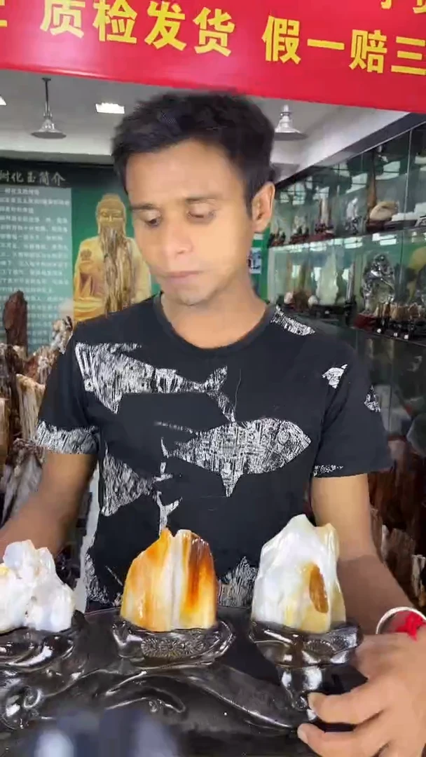 未镶嵌珠宝奇石硅化玉缅甸天然树化玉摆件