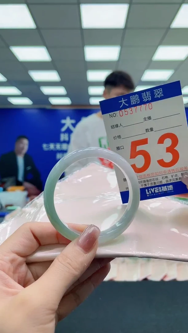 未镶嵌手镯翡翠AAAAAAAAAA