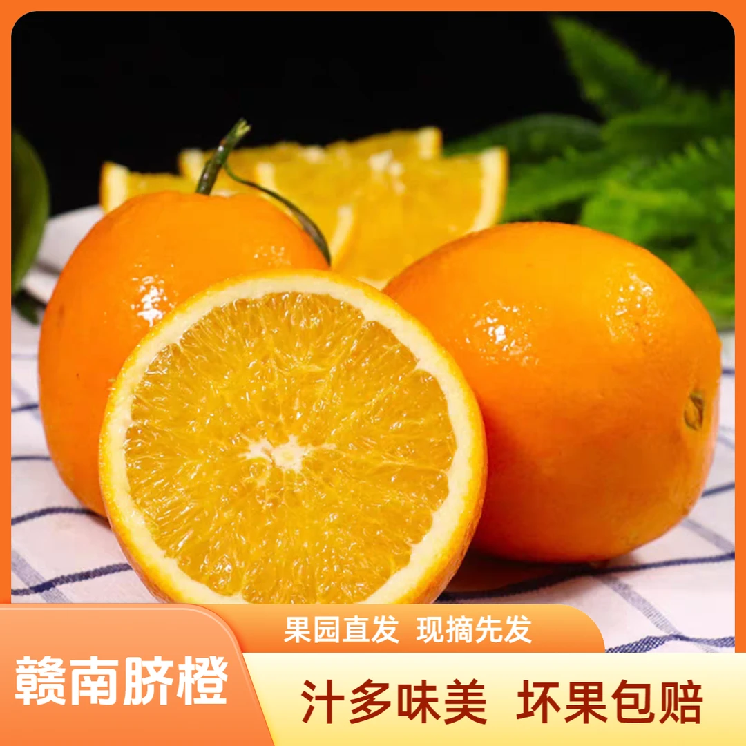 江西赣南脐橙汁多味美应季新鲜果园直发现摘现发