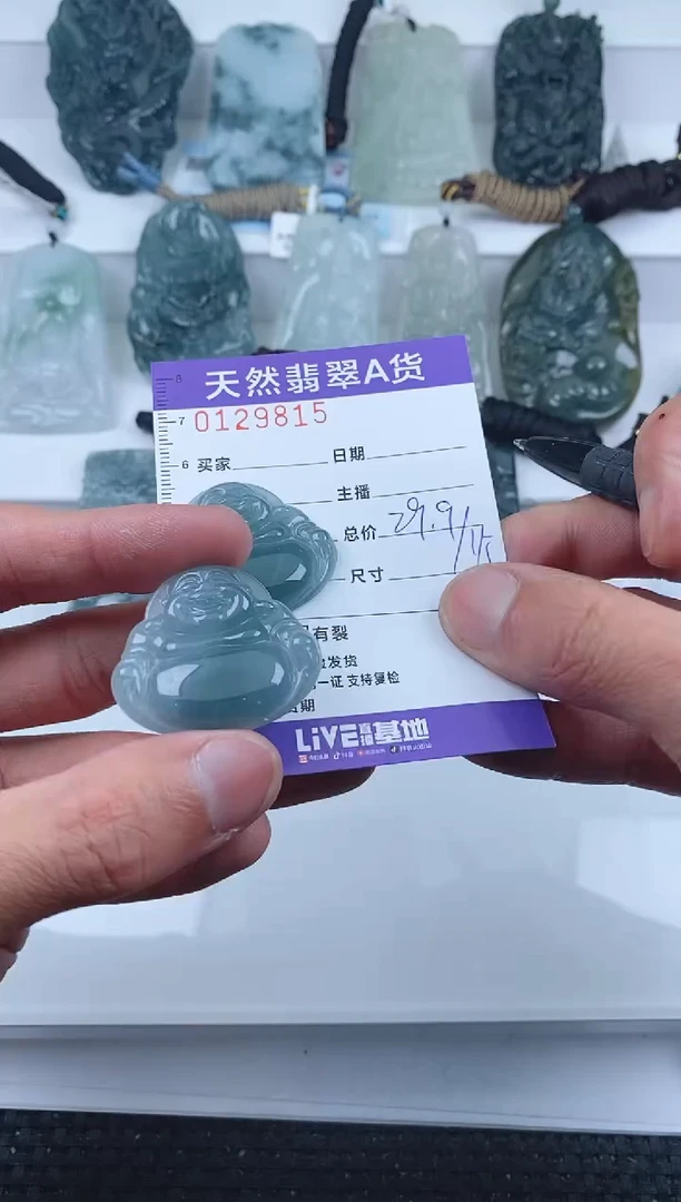 【闪购商品】翡翠颈饰未镶嵌         多样性发货 只发一件