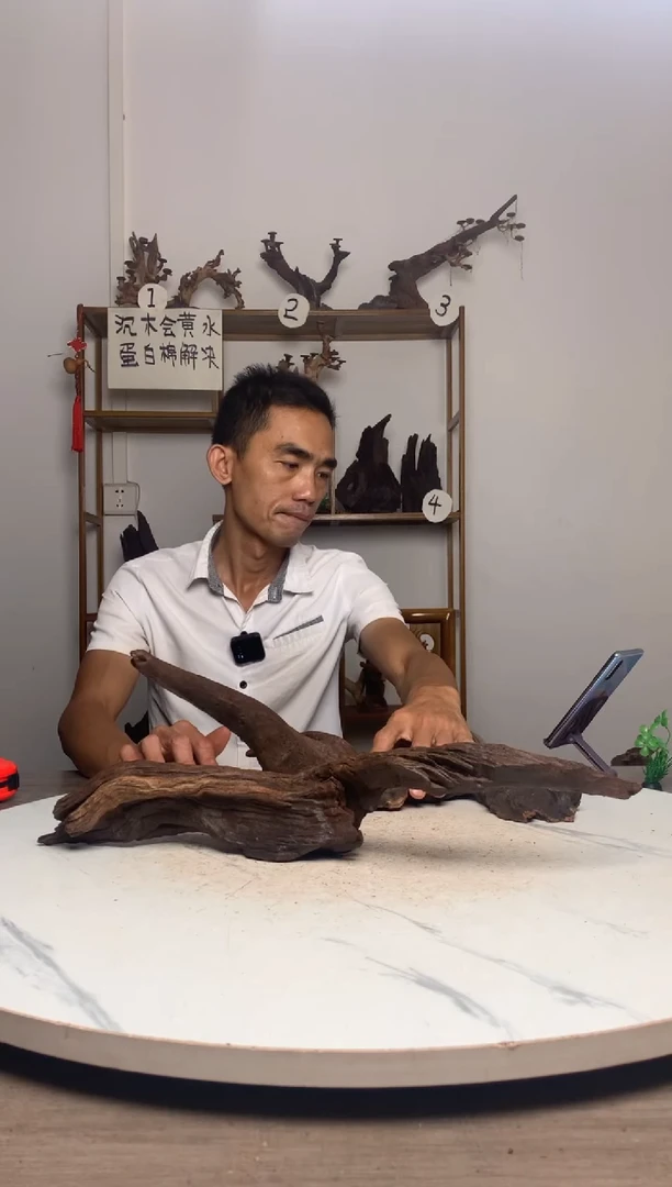 林**人鱼缸造景沉木摆件