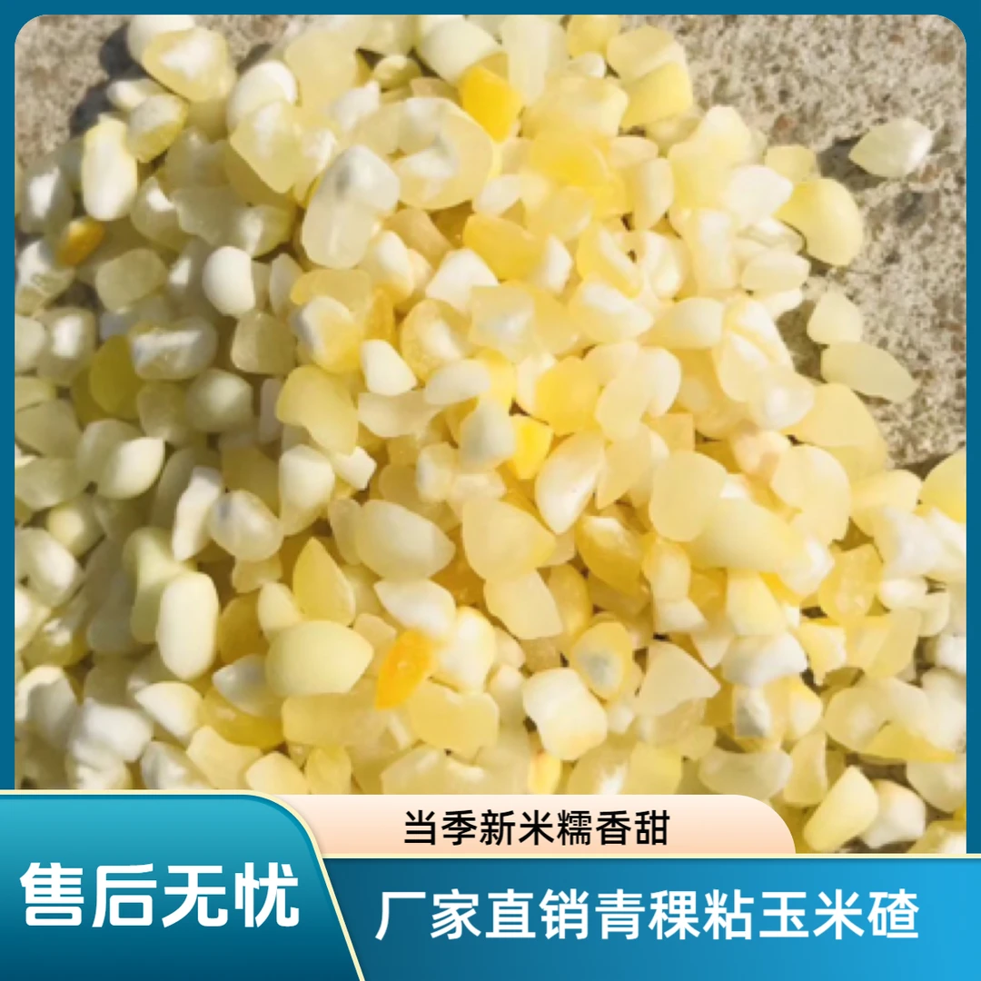 【香糯玉米碴】JKY厂家直销当季新米 青稞水果糯碴子大粘碴500g/袋