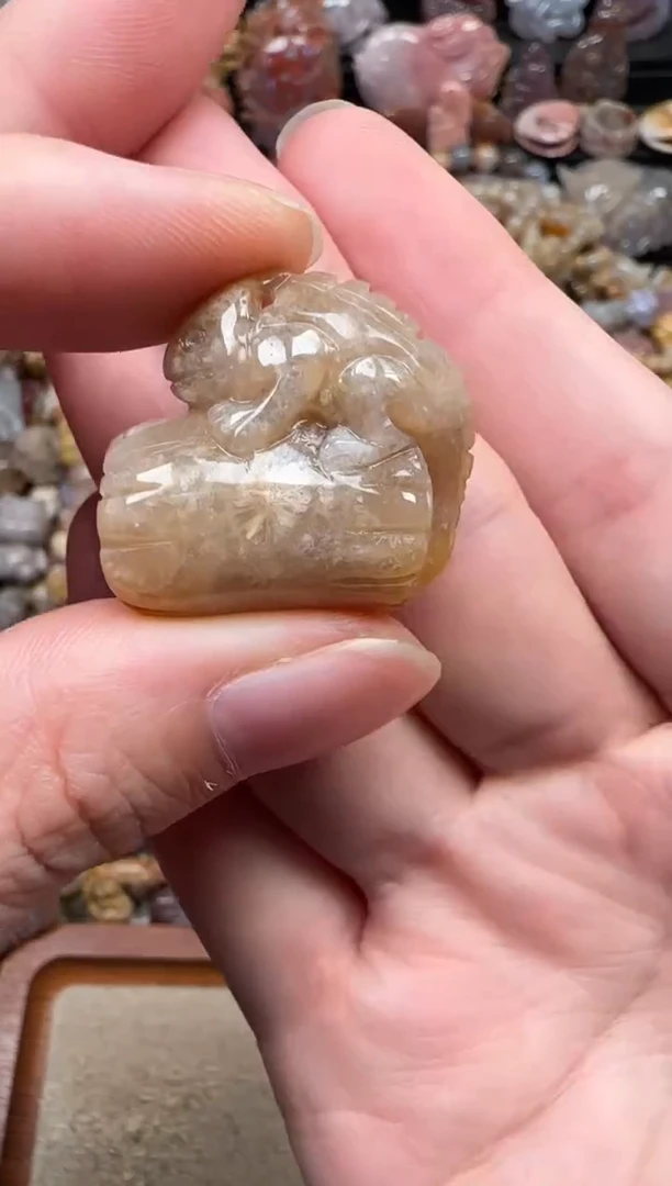 颈饰未镶嵌硅化珊瑚（珊瑚玉）506