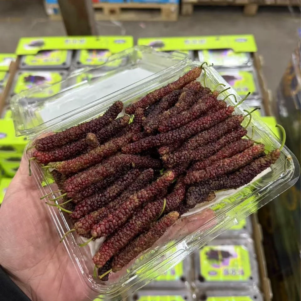 【一盒250g左右】梦果都 毛毛虫高糖桑葚