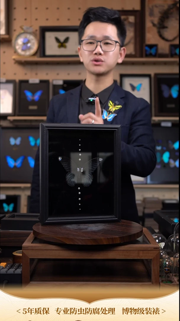 美凤蝶巴洛克款10寸欧式框