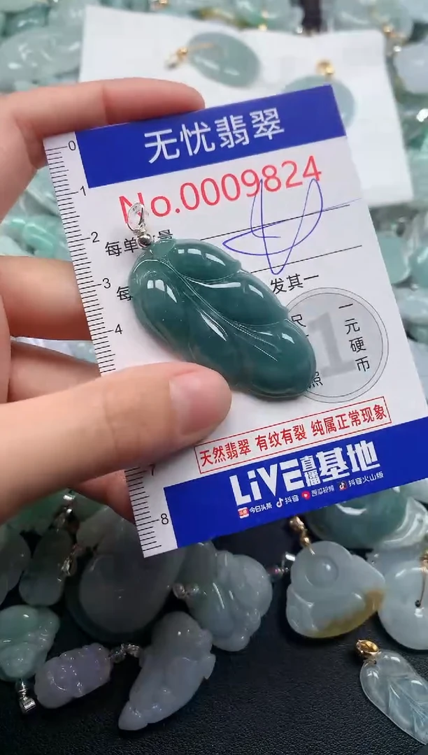 颈饰未镶嵌翡翠9824