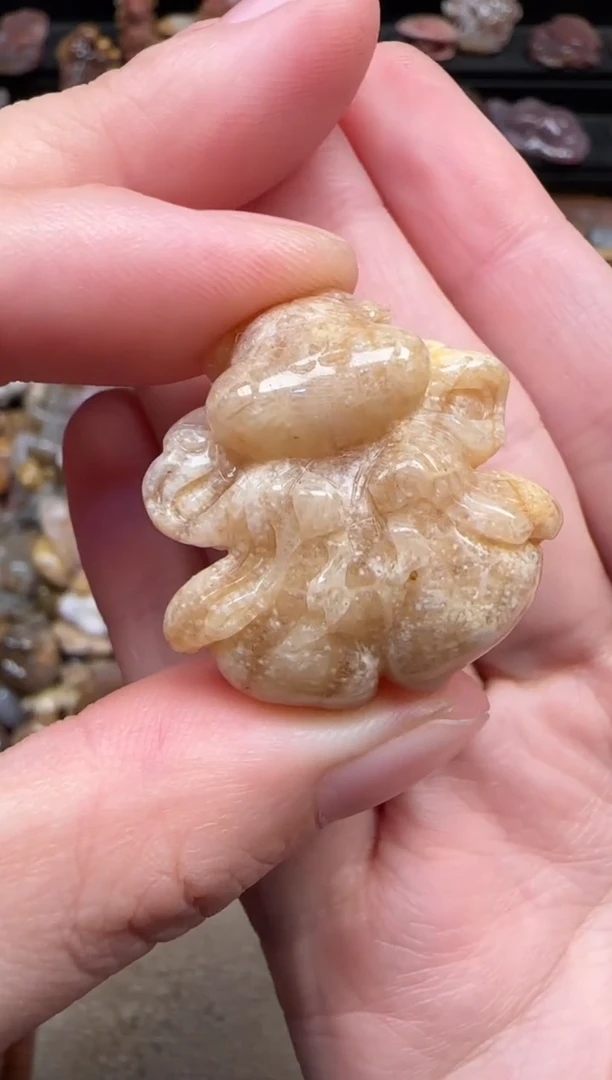 颈饰未镶嵌硅化珊瑚（珊瑚玉）298