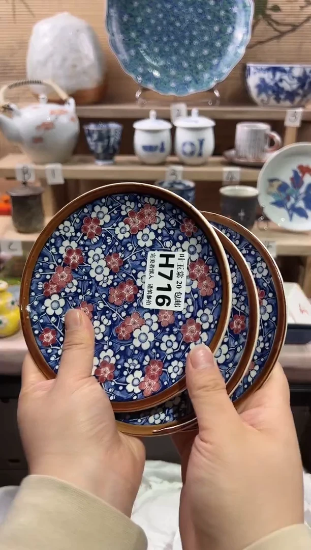 瓷片            E716