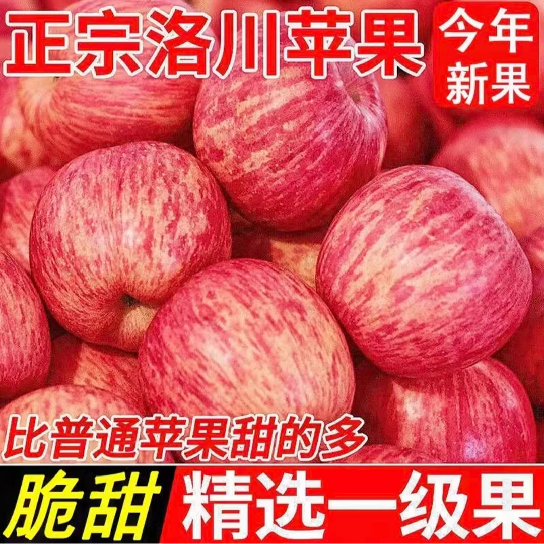 正宗陕西洛川冰糖心富士苹果大果 新鲜应季脆甜多汁 皮薄肉脆
