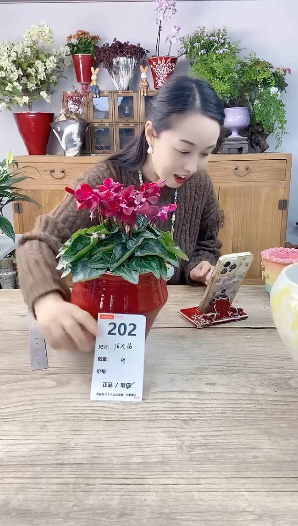小玩子花盆直播号202