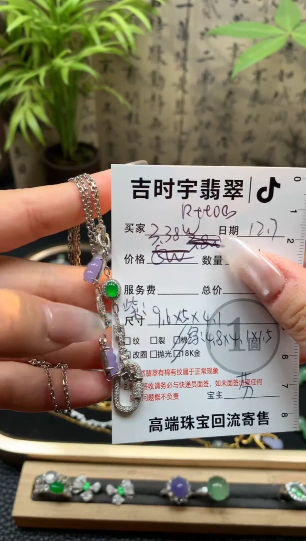颈饰18K金镶嵌翡翠R**o翡翠套链