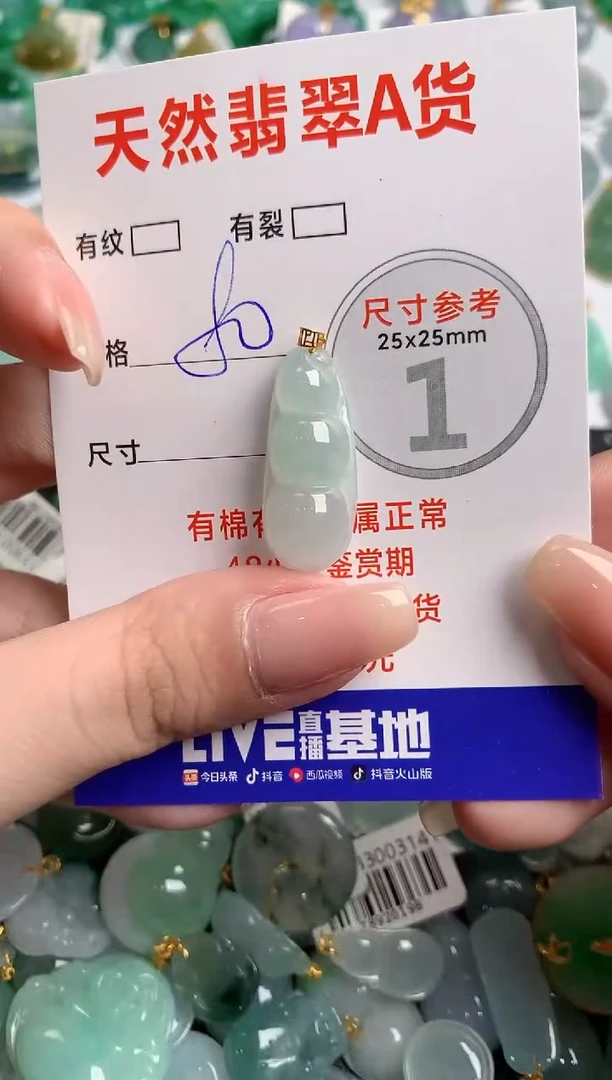 翡翠18K金镶嵌颈饰24000294