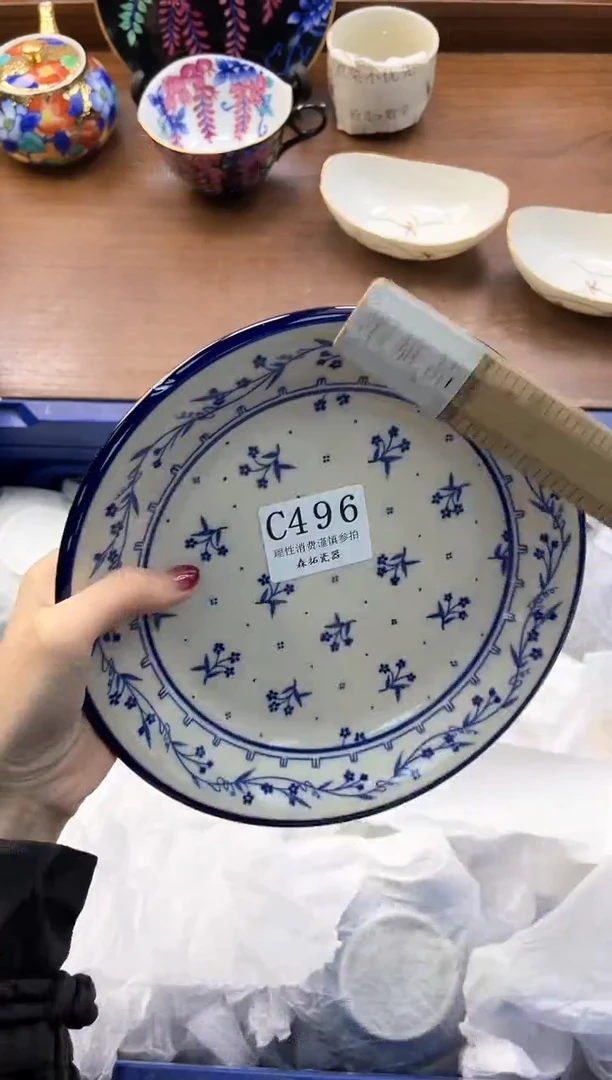 【闪购商品】瓷片----------C496