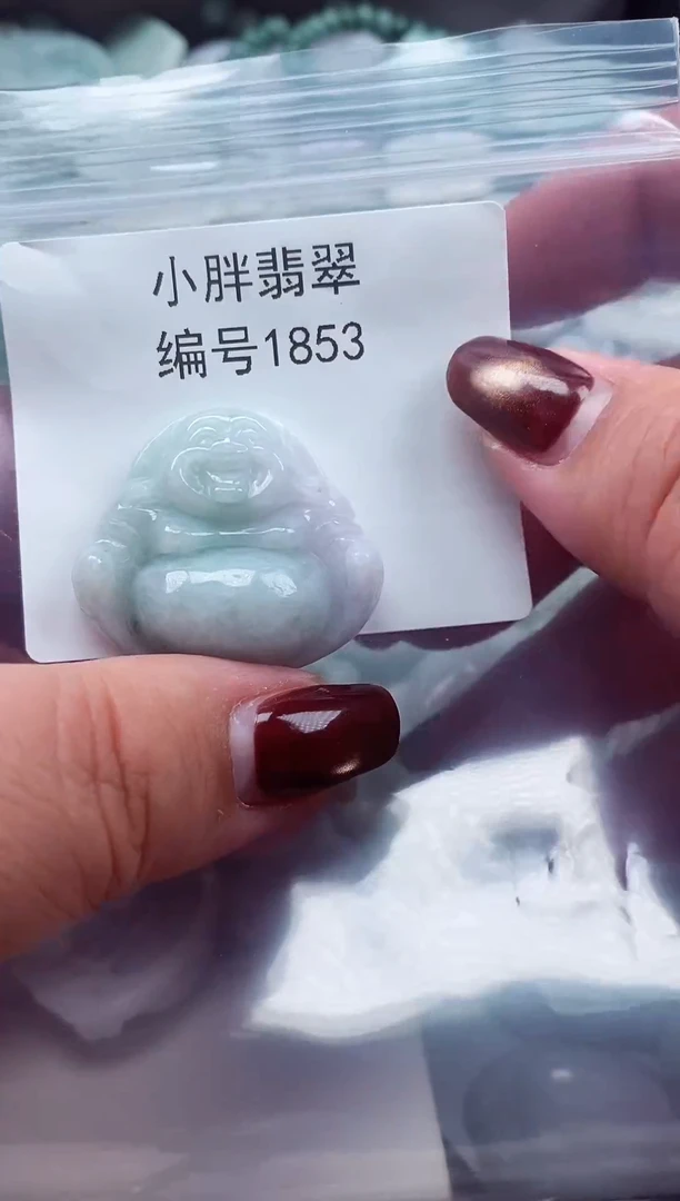 颈饰未镶嵌翡翠缅甸天然A货翡翠1853