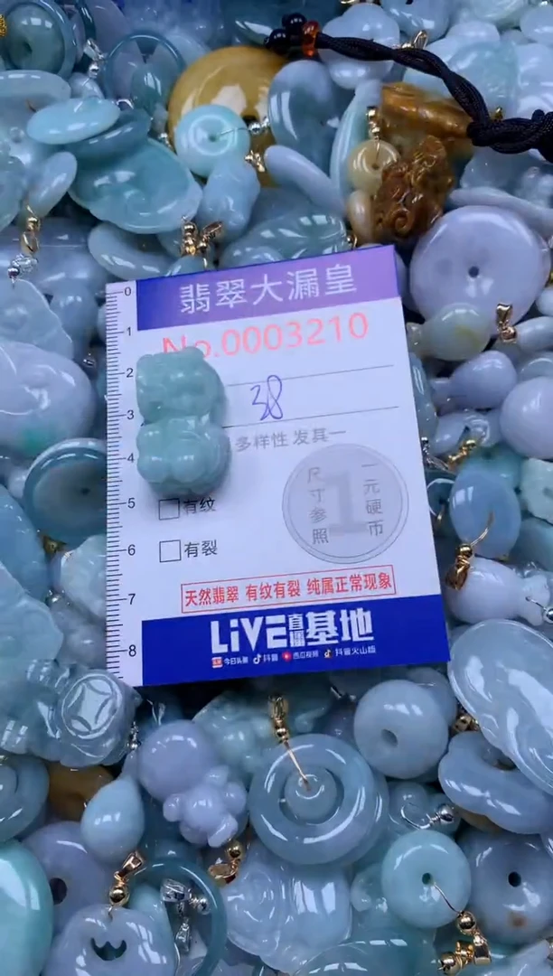 翡翠未镶嵌吊坠(不含链)3210