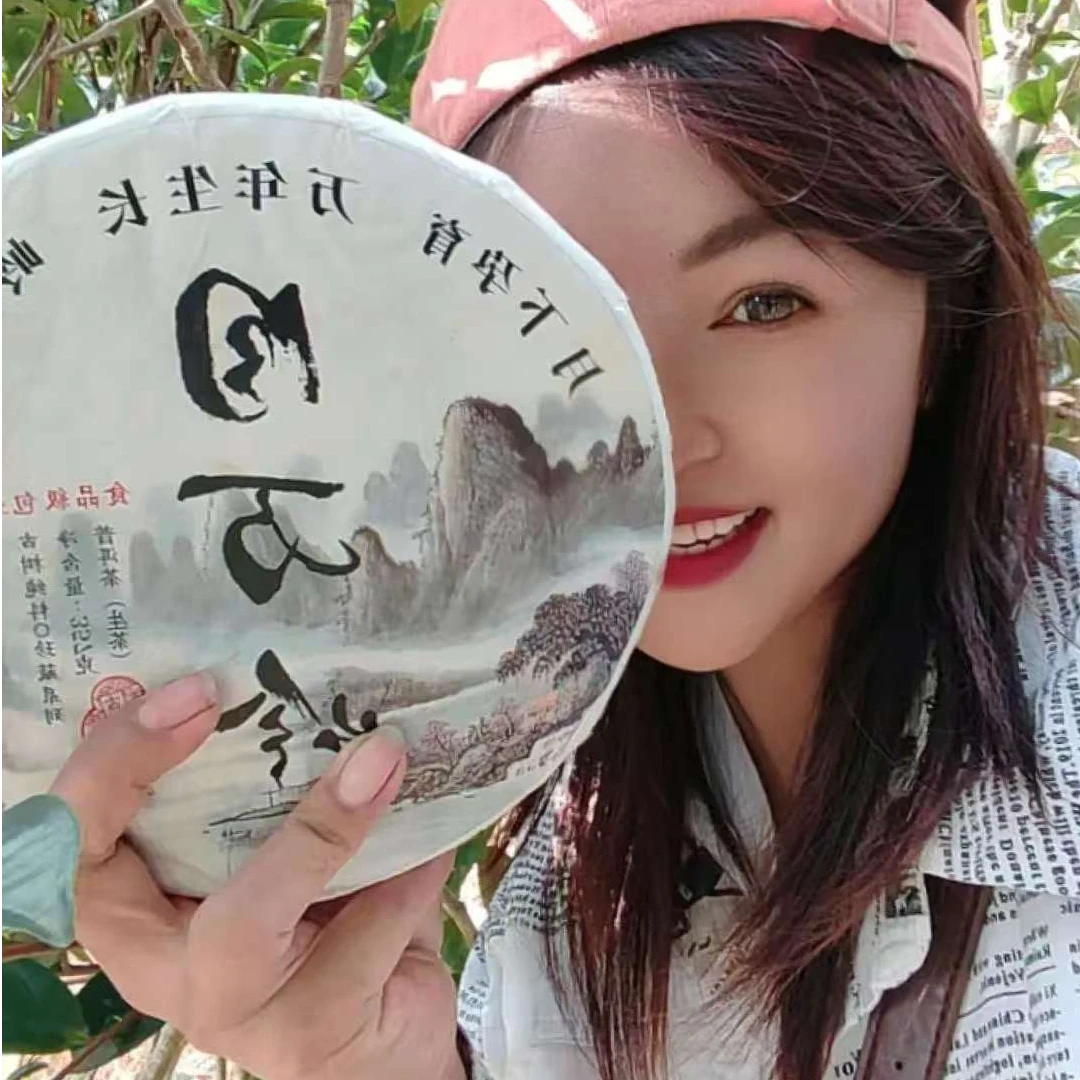 2023年的古树茶饼