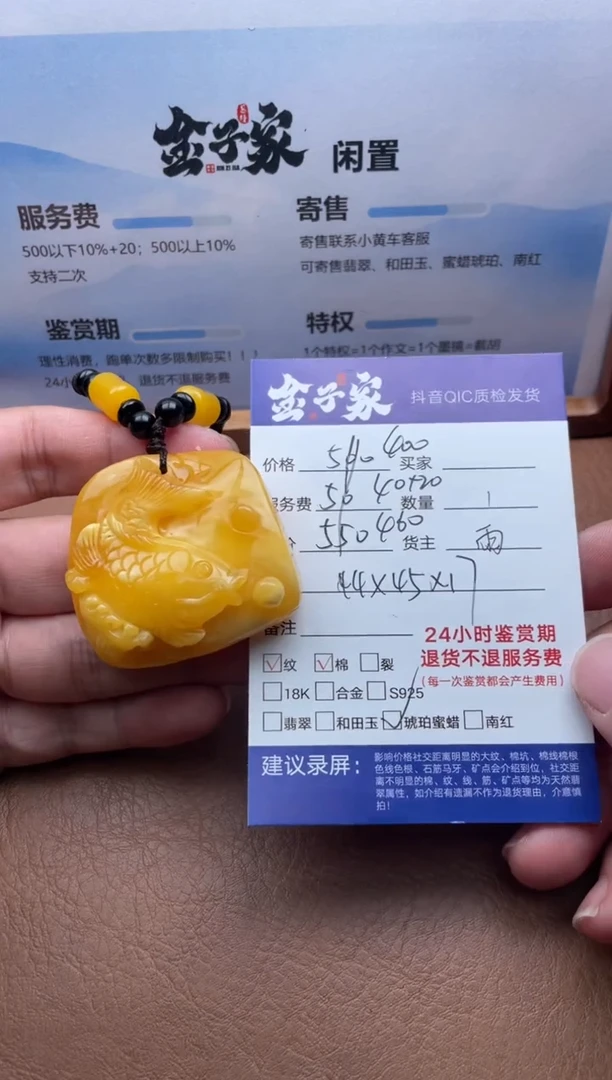 未镶嵌颈饰琥珀541862609