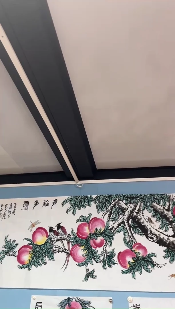 国画暖**城武天庆寿桃图多福多寿