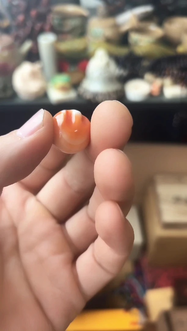 瓷片瓷片瓷片瓷片