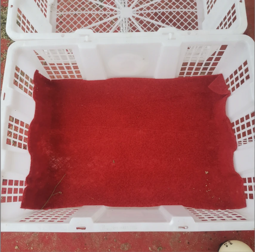 家禽鸟类运输笼多用途筐顺丰包邮