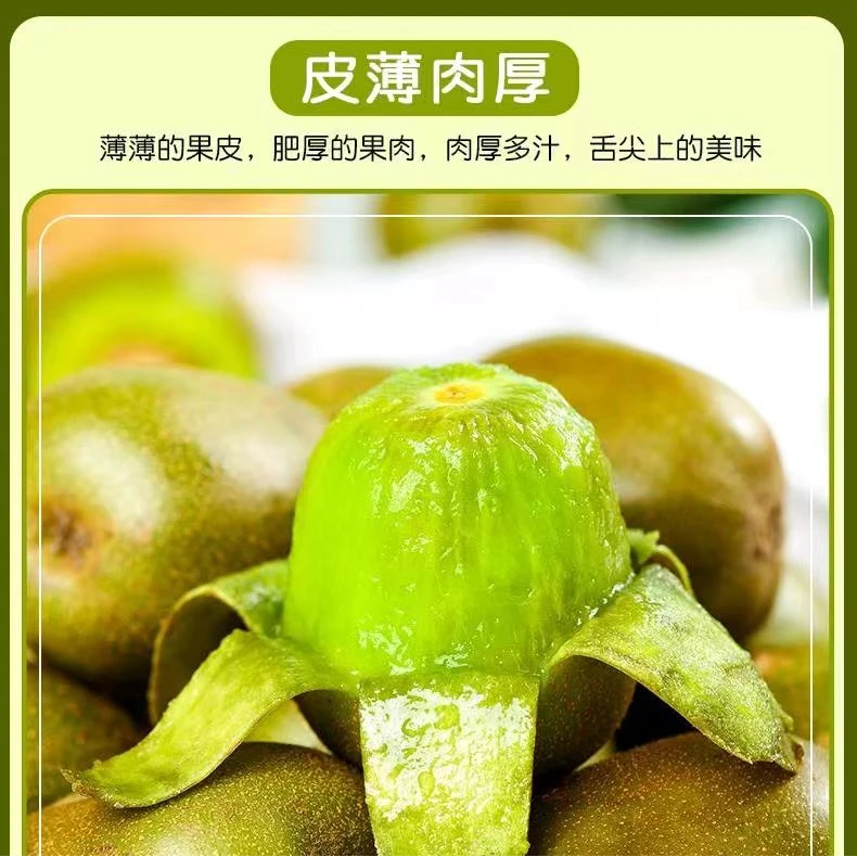 [25年新果猕猴桃]开园头茬在售 红心猕猴桃果园直发 建议催熟食用