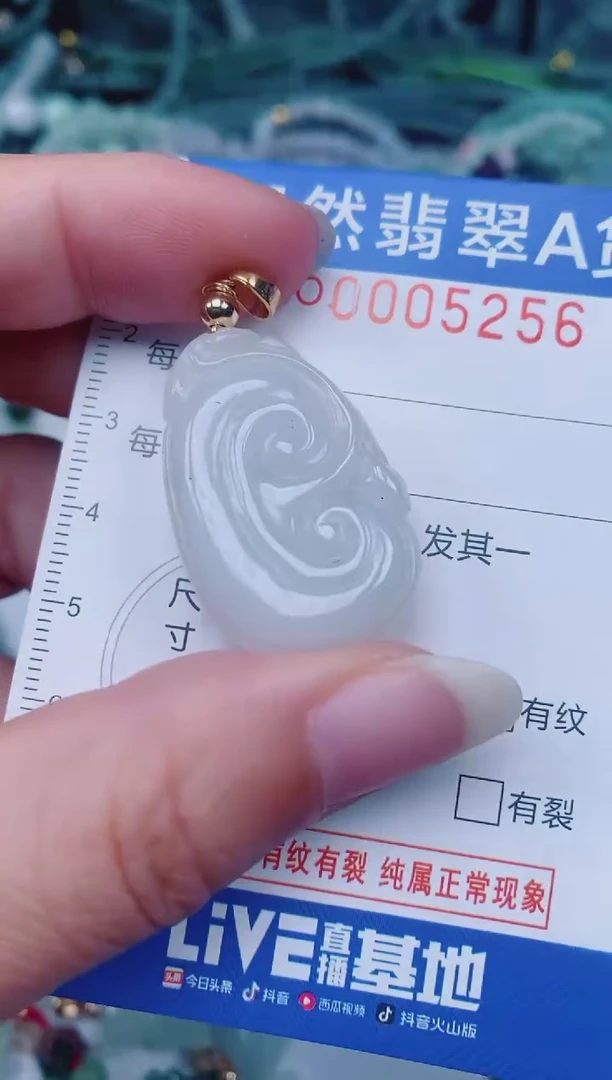 颈饰未镶嵌翡翠00005256