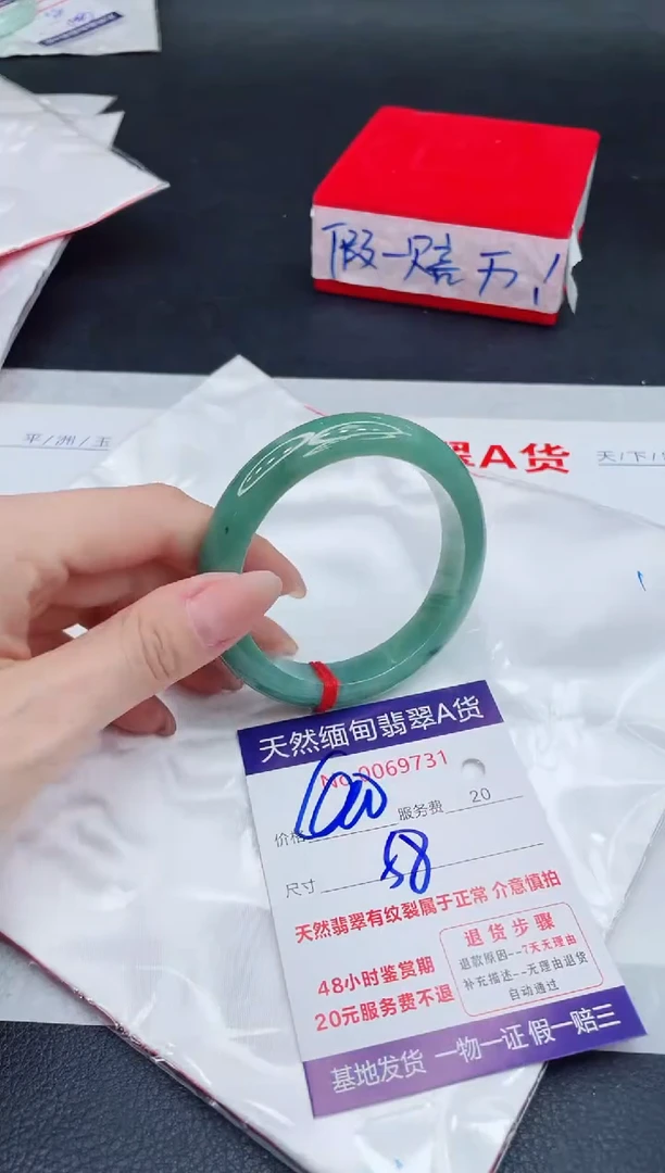 未镶嵌手镯翡翠400.00