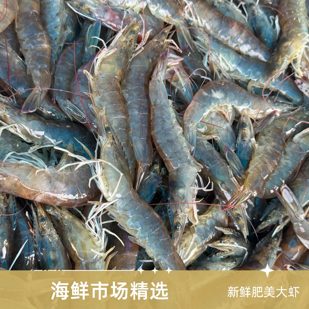 特价！鲜活外塘虾新鲜鲜活大虾口感好