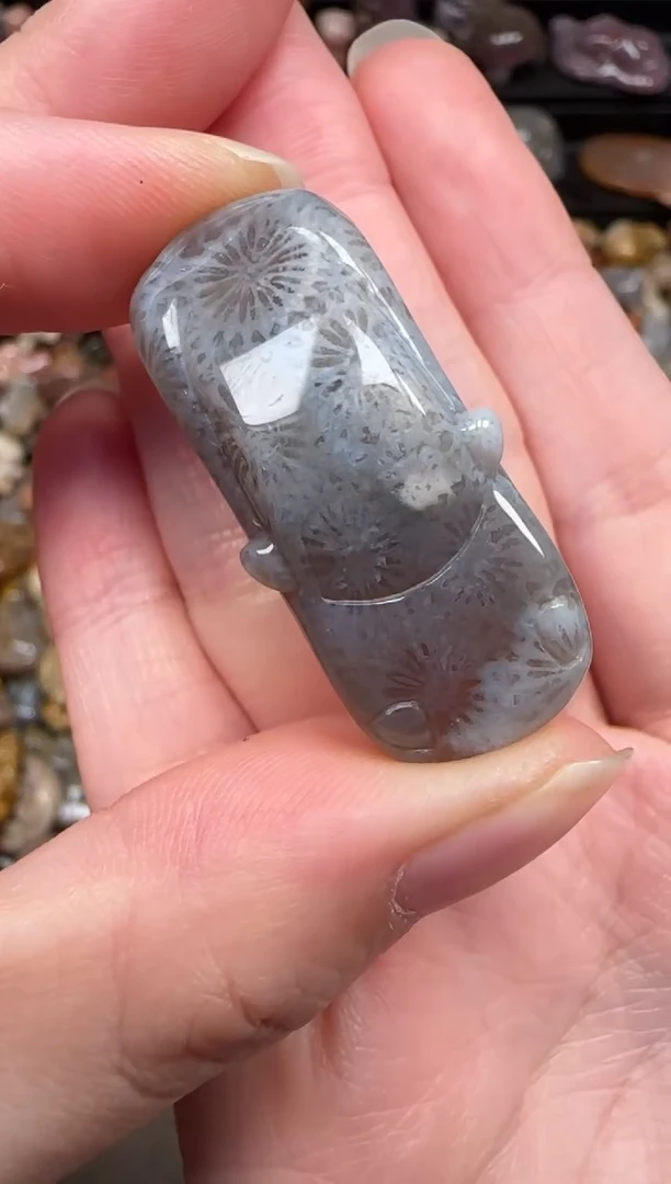 颈饰未镶嵌硅化珊瑚（珊瑚玉）235